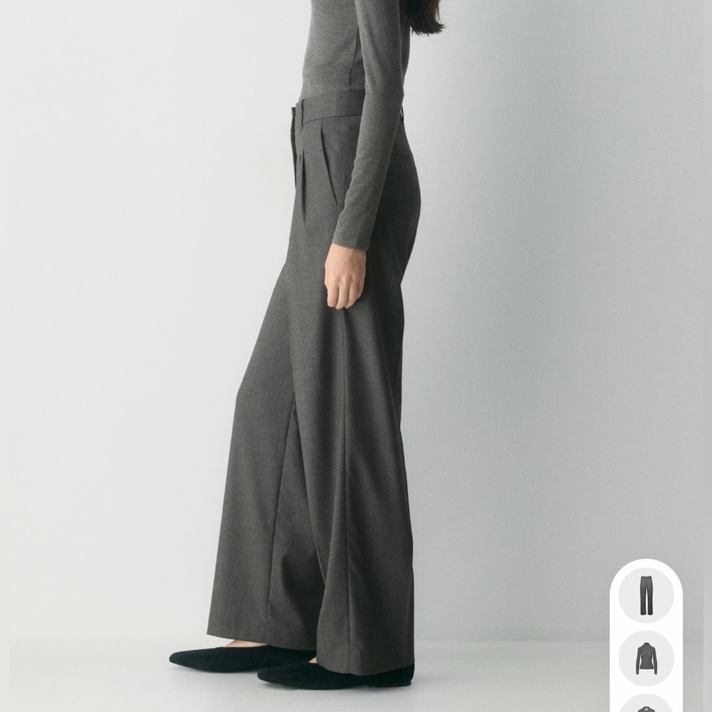 Aritzia Wide Leg Trousers in Dark Gray